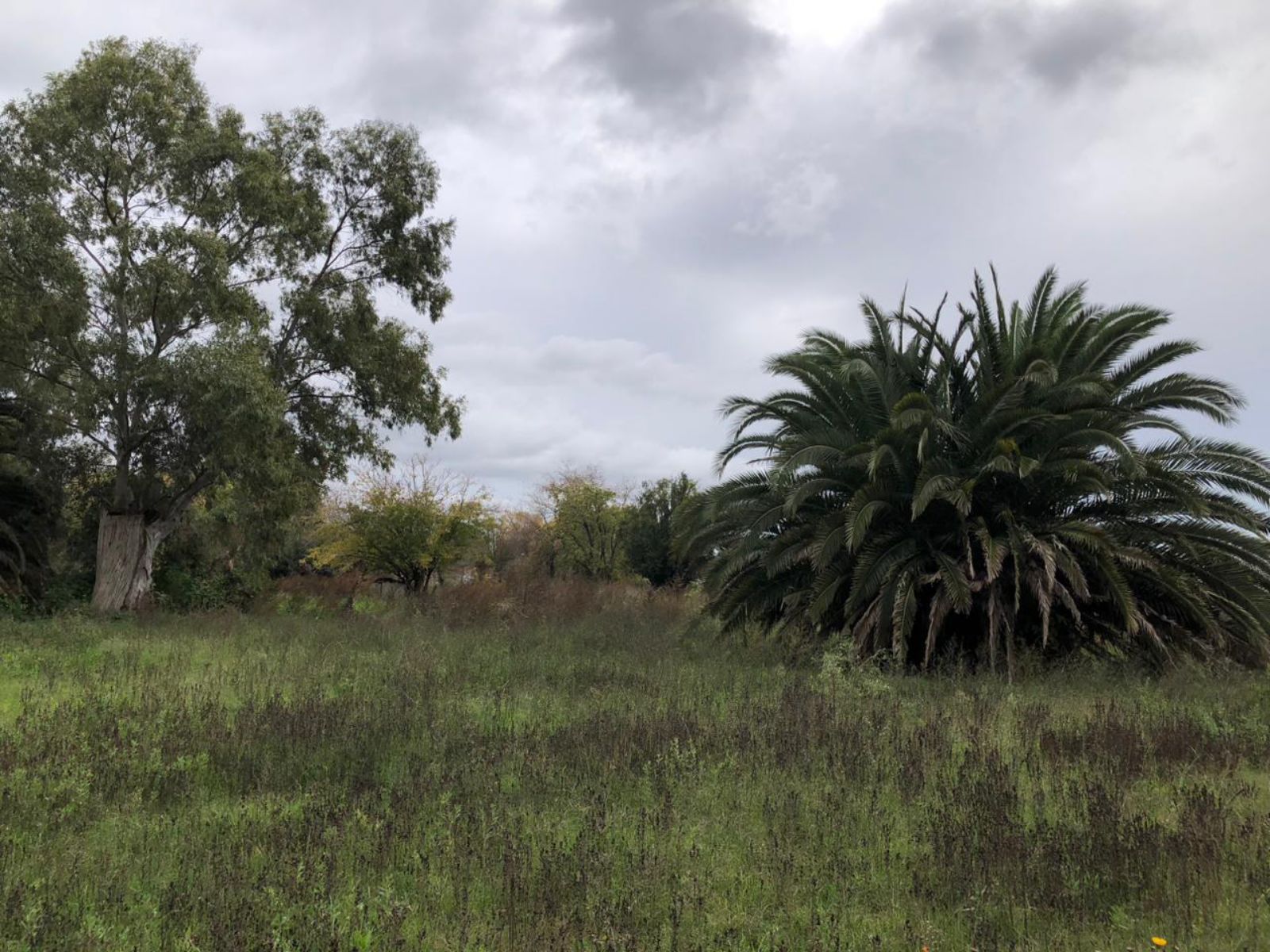 image 22