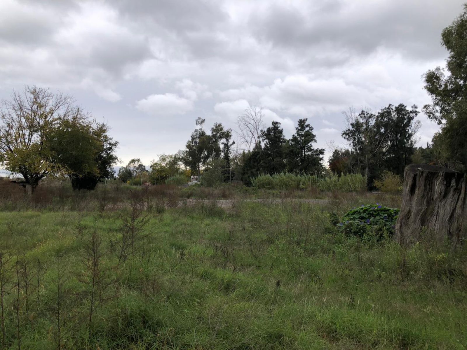 image 23