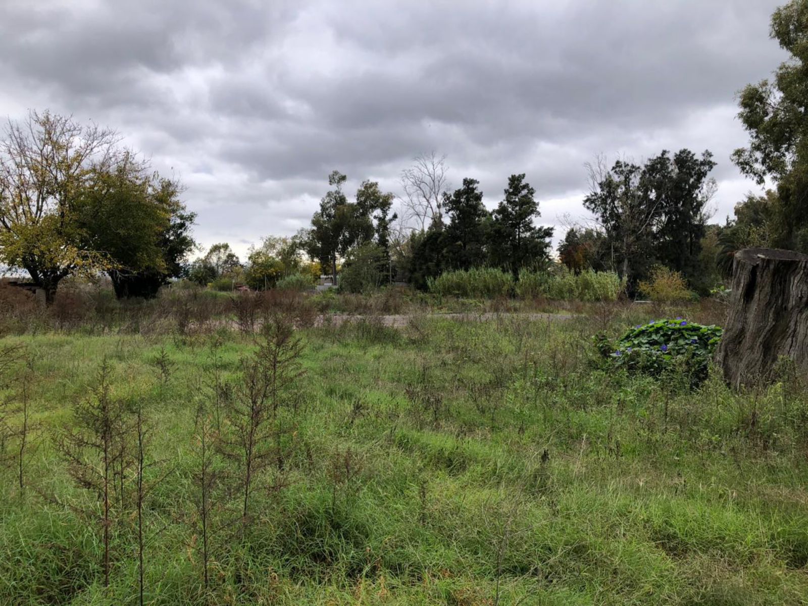 image 25