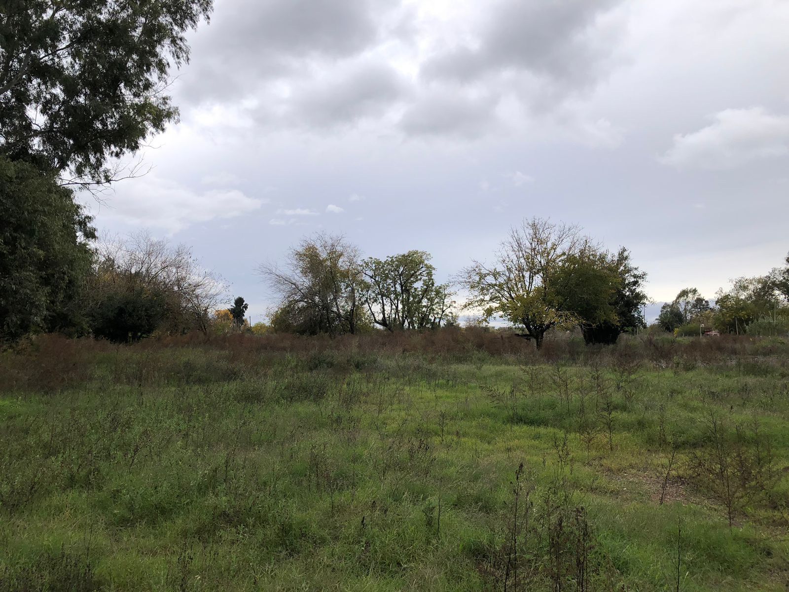 image 31