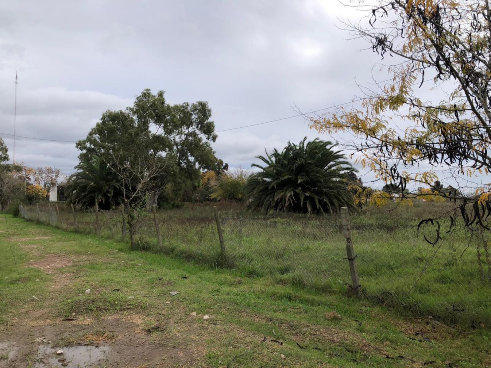 image 33