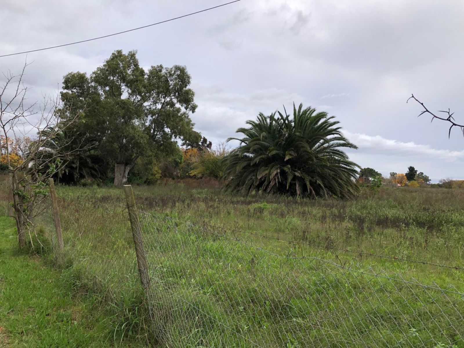 image 35