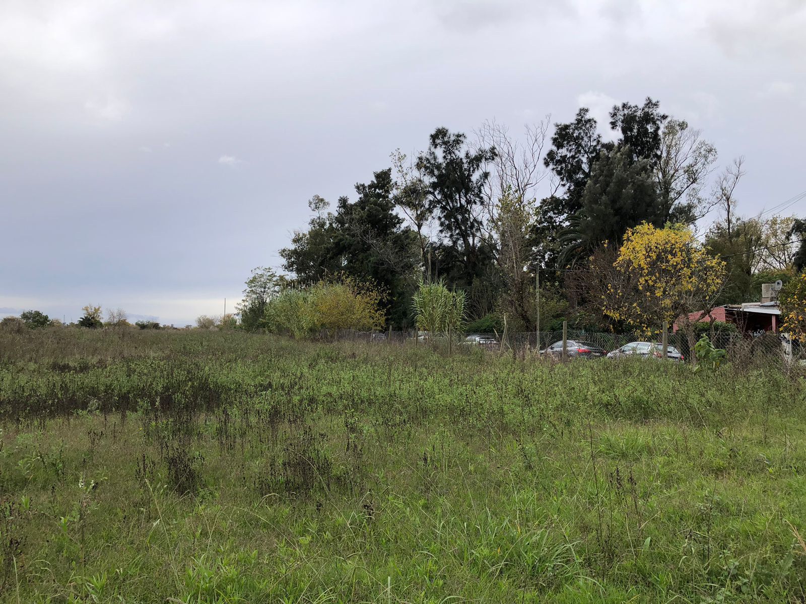 image 36