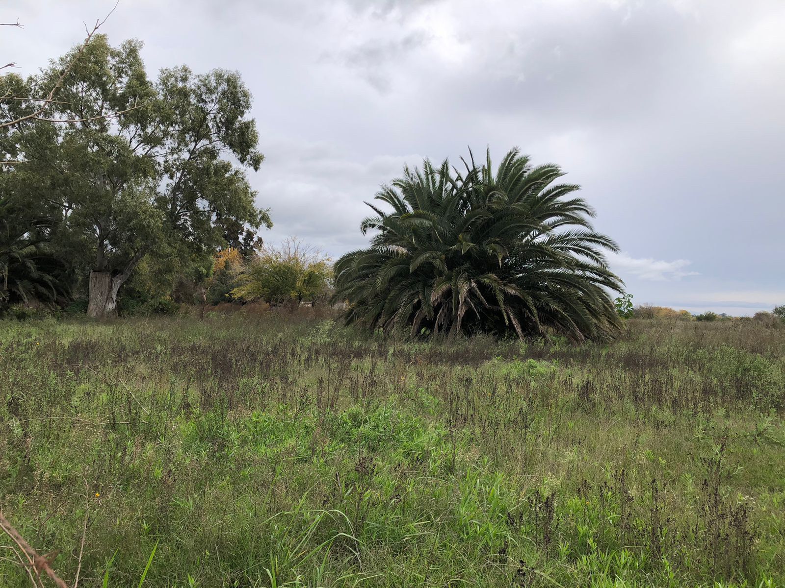 image 37