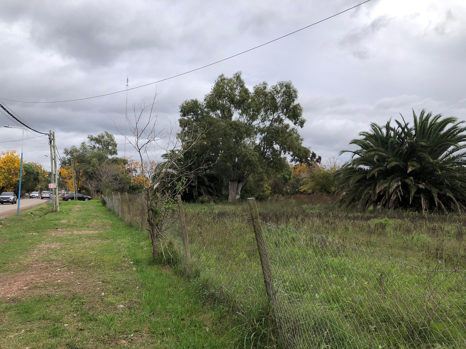 image 38