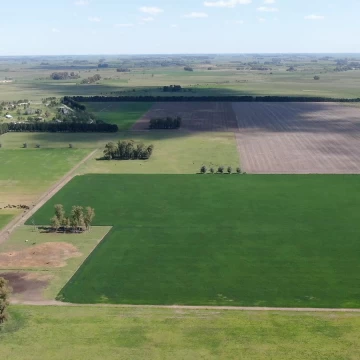 CAMPO EN VENTA DE 155 HA -RUTA 6 KM 129-MARCOS PAZ