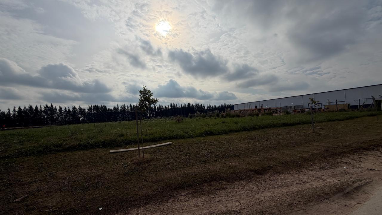 image 14