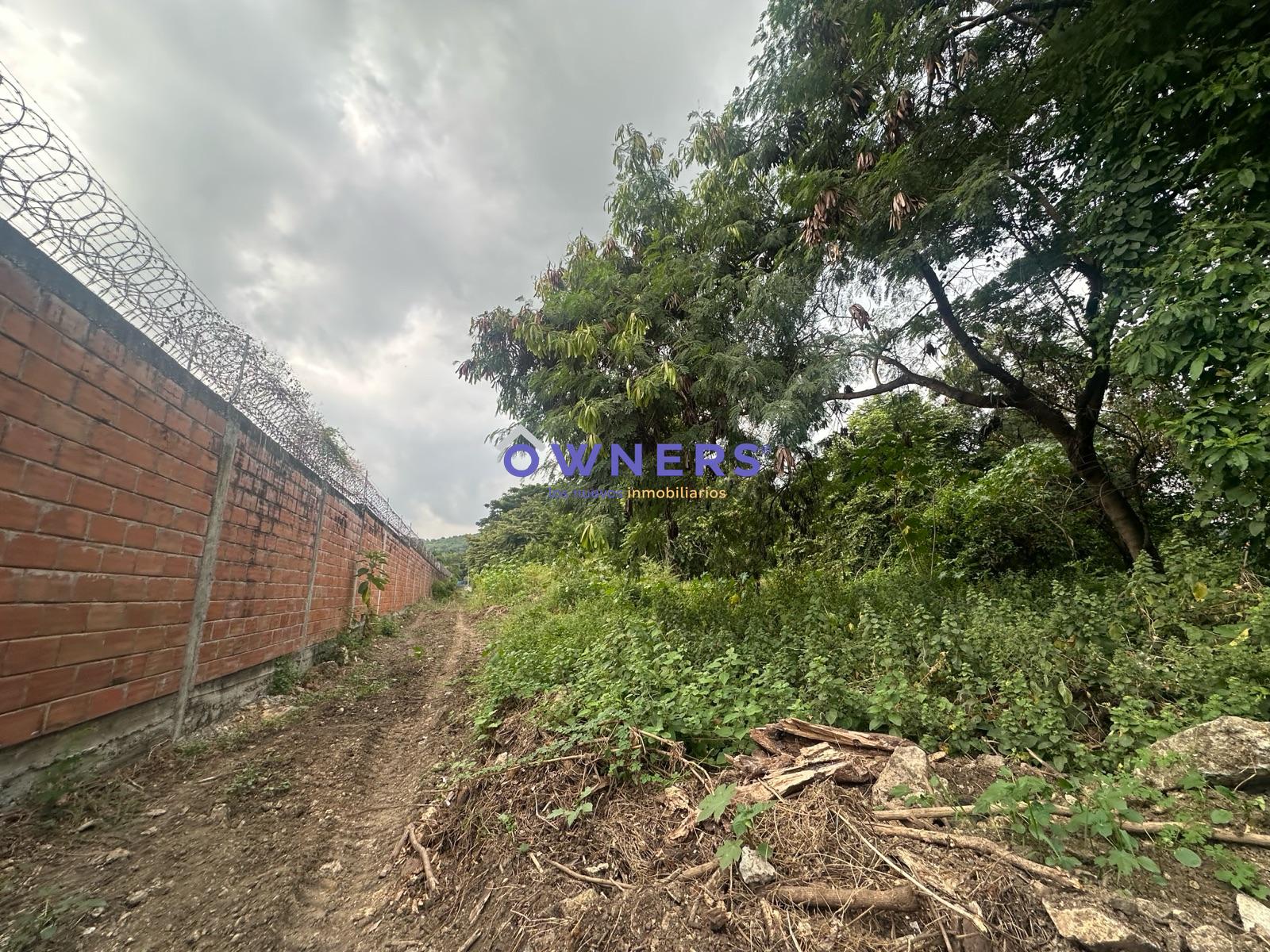 image 25