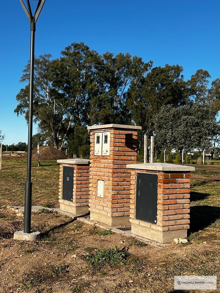 image 23
