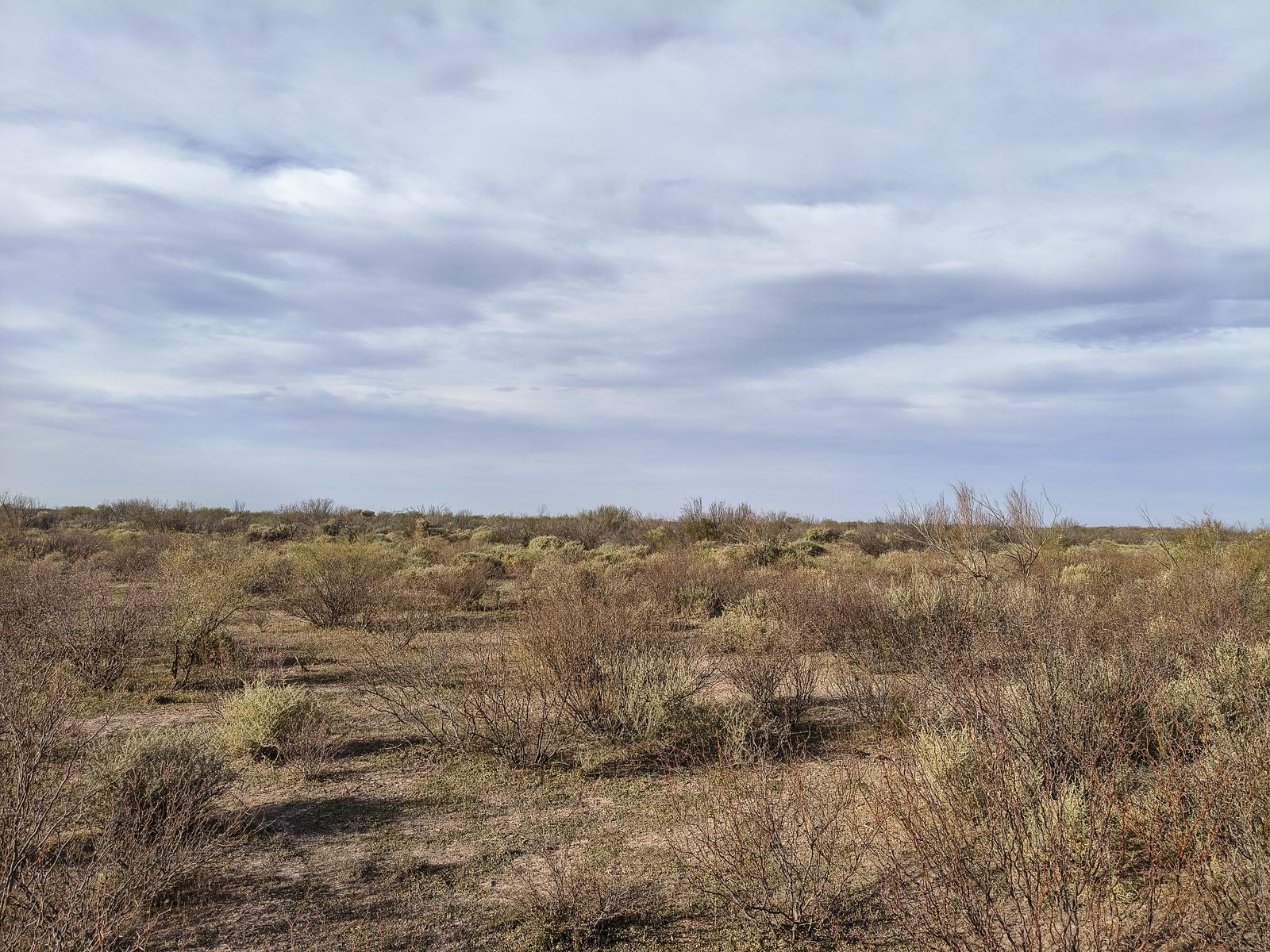 CAMPO AGRÍCOLA GANADERO EN VENTA MENDOZA - Principal