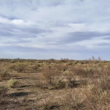 CAMPO AGRÍCOLA GANADERO EN VENTA MENDOZA