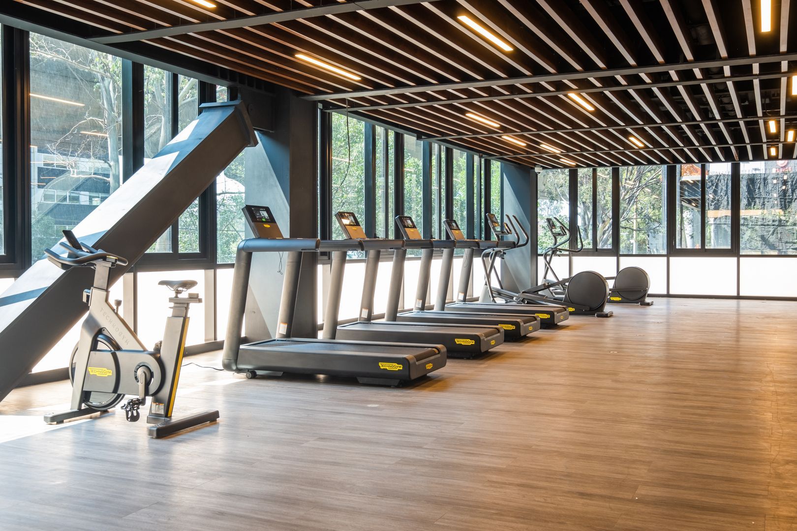 Gym.jpg