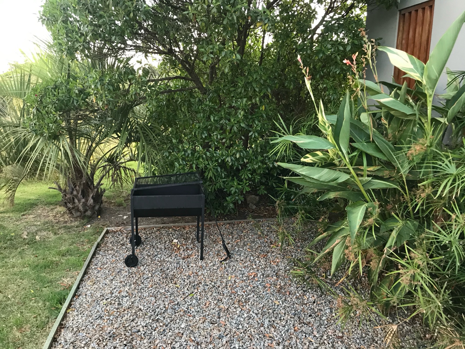 image 17
