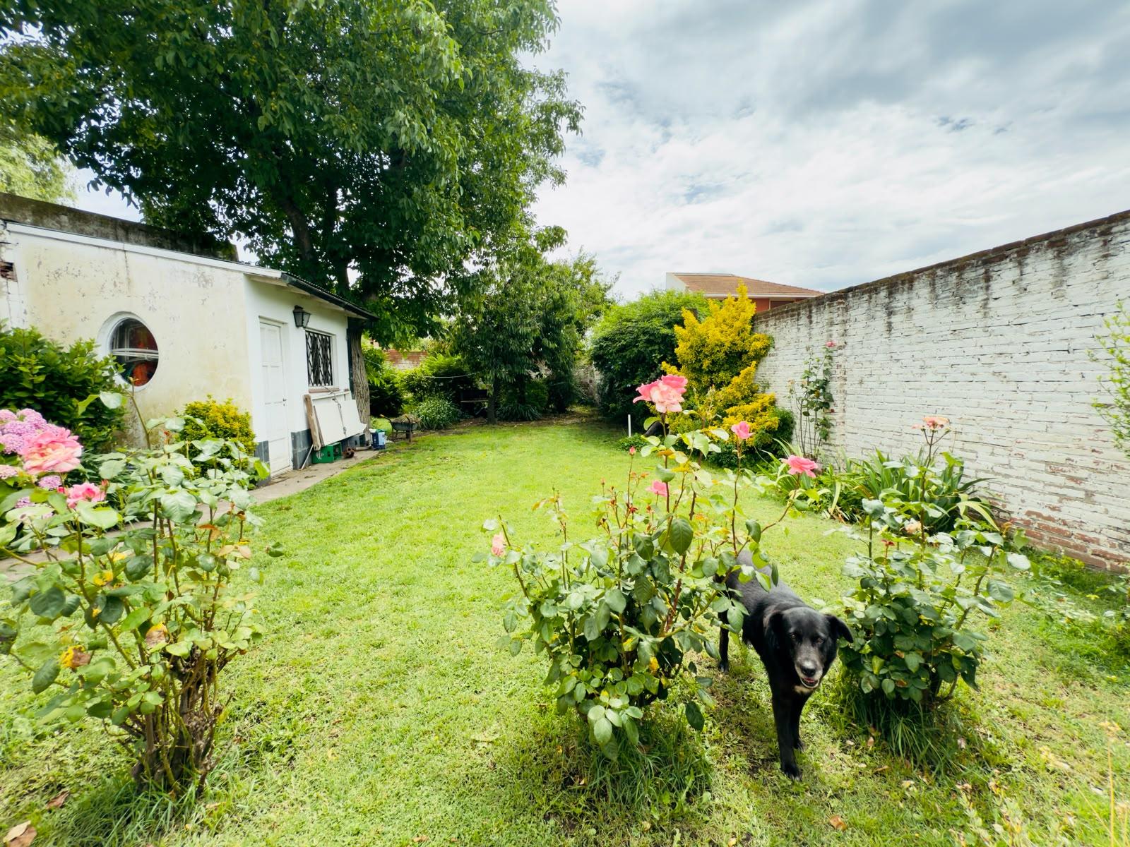 image 23