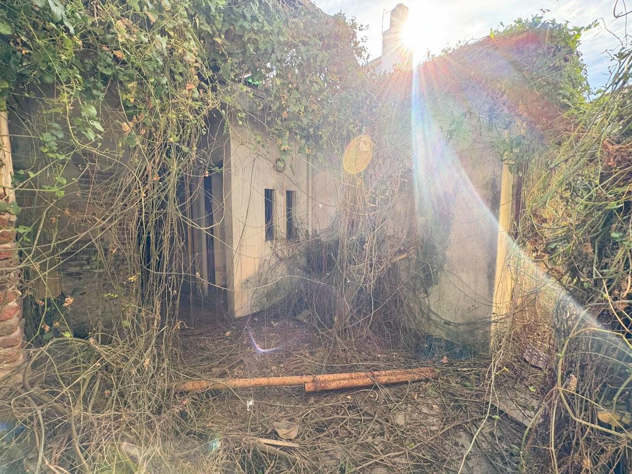 image 14