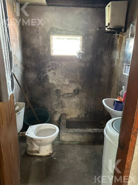 1784301077.jpg