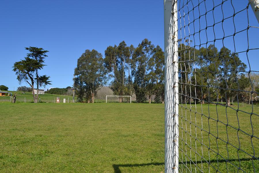 image 29