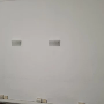 1784301441.jpg