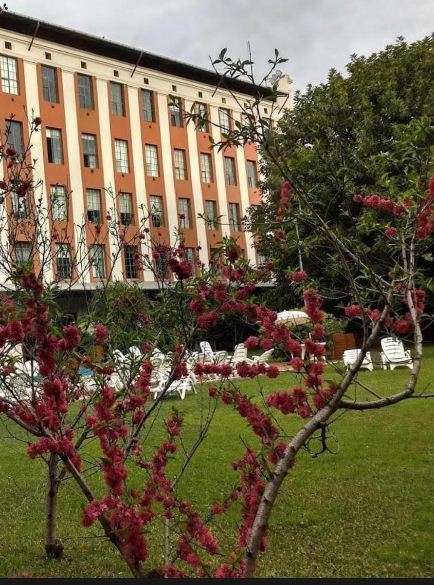 image 37