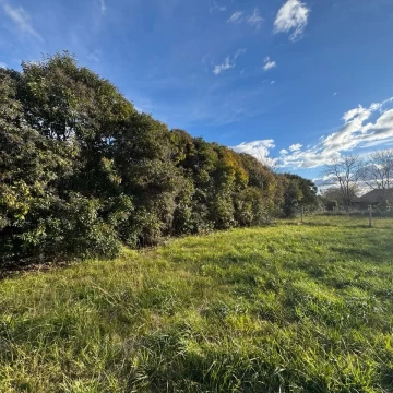 VENTA LOTE EN VILLA ELISA – IDEAL DESARROLLADORES