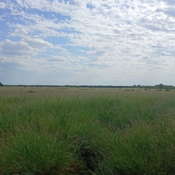 VENTA CAMPO MIXTO SERREZUELA 876 HAS