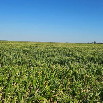 Venta Campo en General Soler