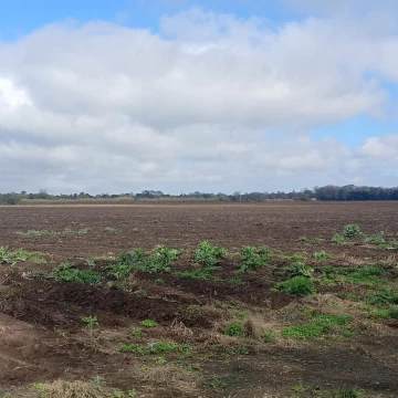 VENTA CAMPO PARA DESARROLLO INMOBILIARIO COLONIA TIROLESA