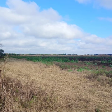 VENTA CAMPO PARA DESARROLLO INMOBILIARIO COLONIA TIROLESA
