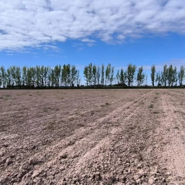 VENTA CAMPO LAVALLE