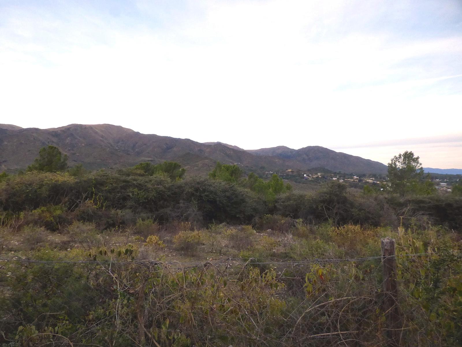 image 13
