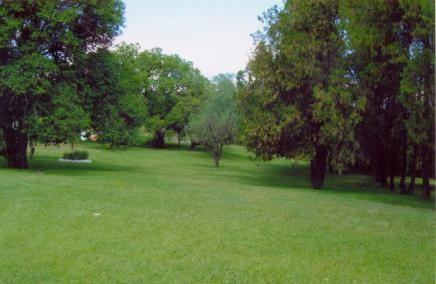 image 30