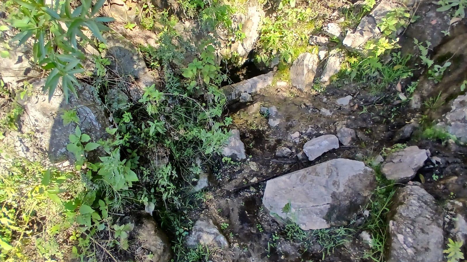 image 18