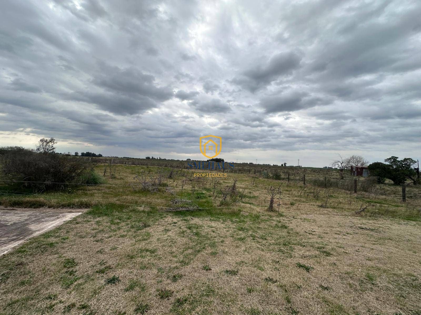 image 23