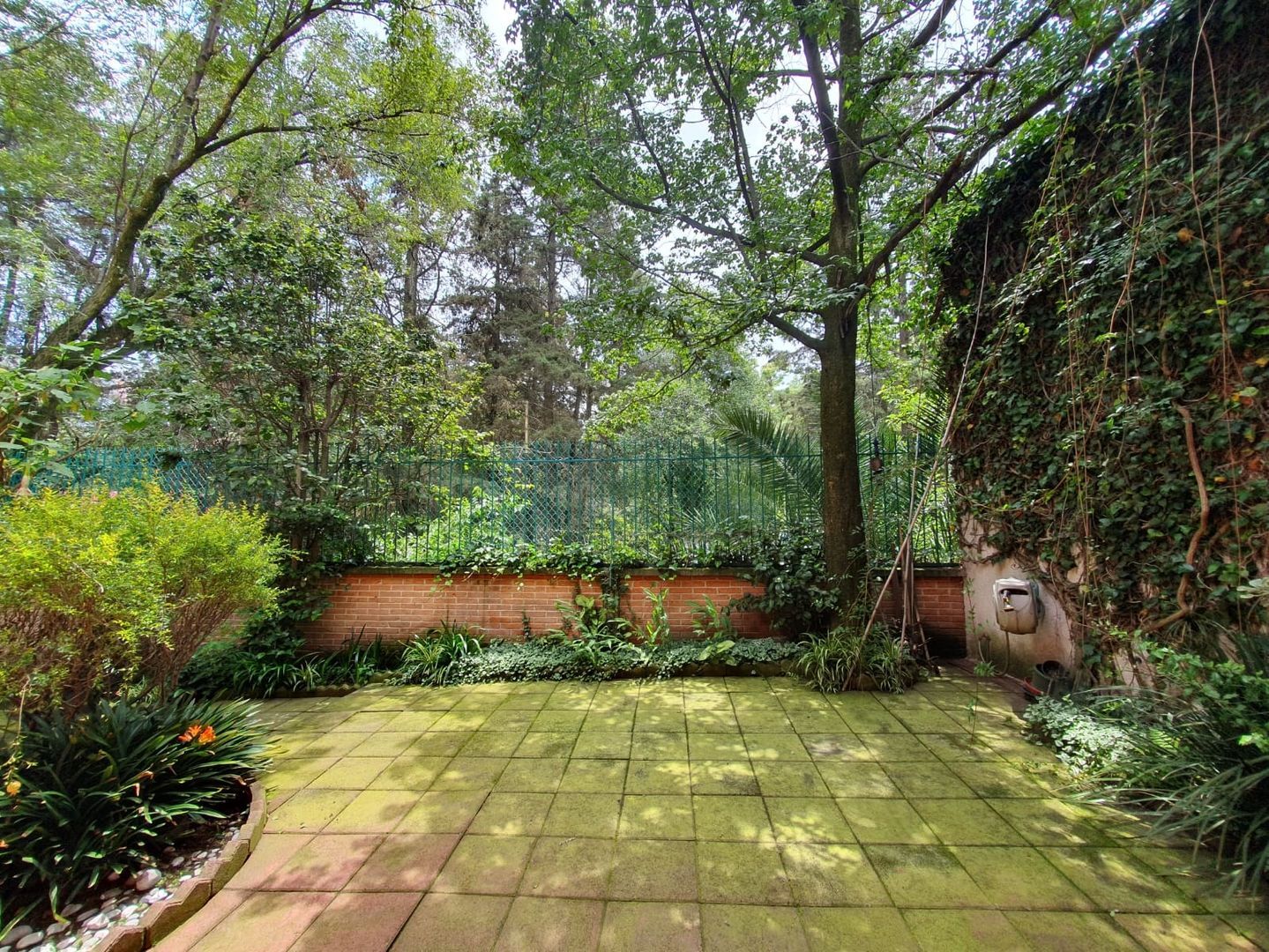 PAtio.jpg