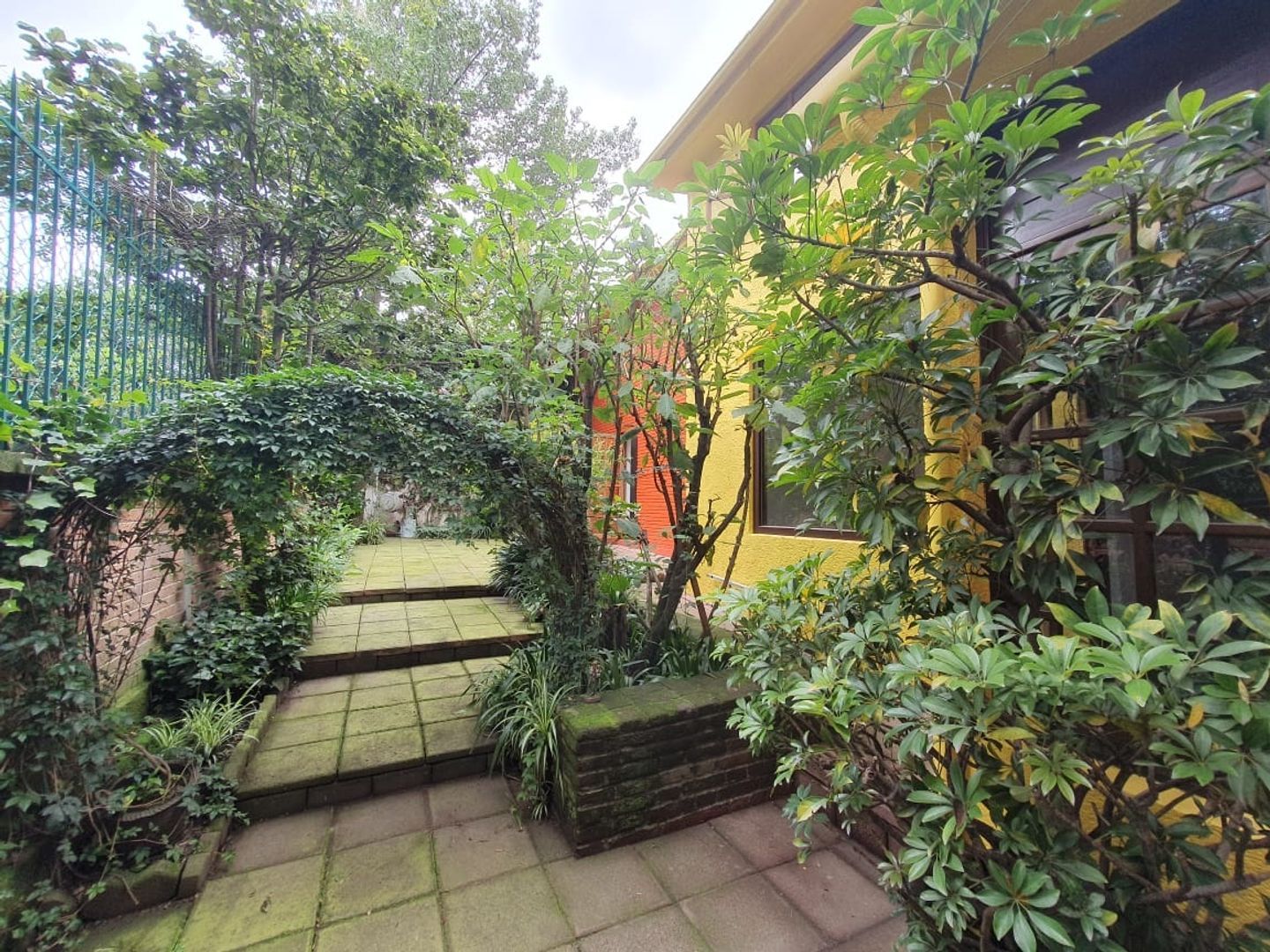 patio2.jpg