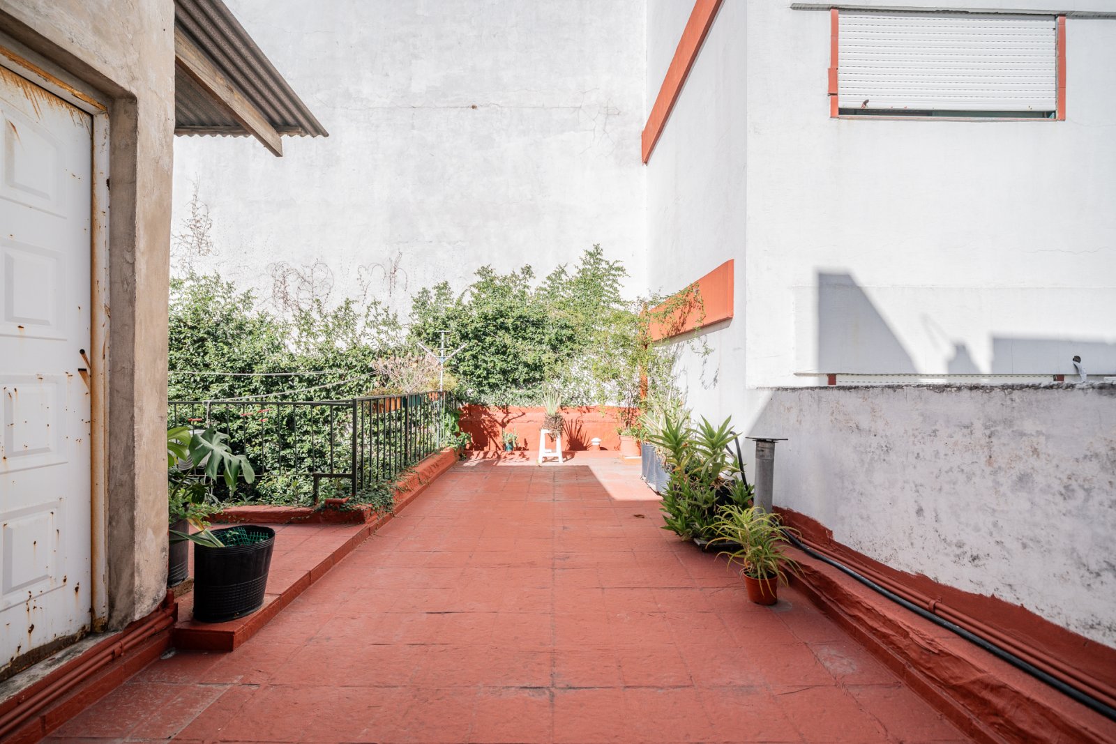 image 29