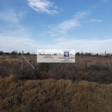 terreno. Las Paredes. 1 ha.