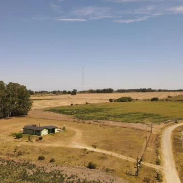 Venta de terreno de 1 hectárea. Colonia del Sacramento.