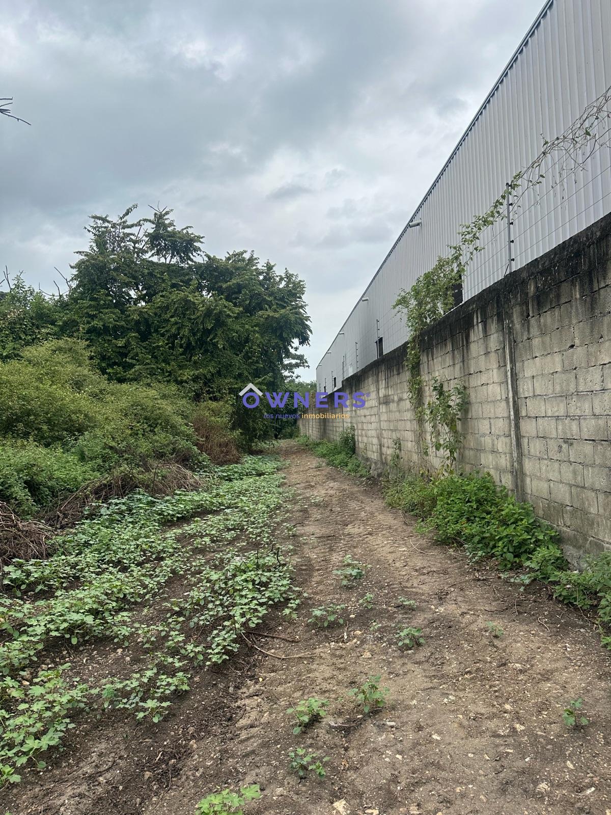 image 16