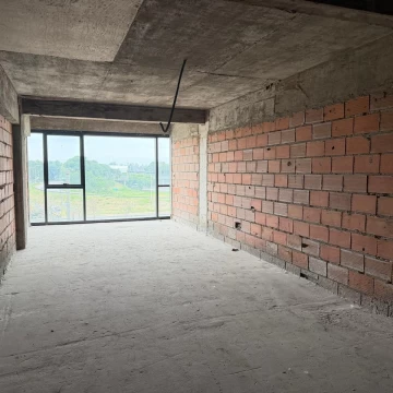 1784575629.jpg