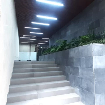 Departamento en renta en Del Valle Norte 2 Recámaras