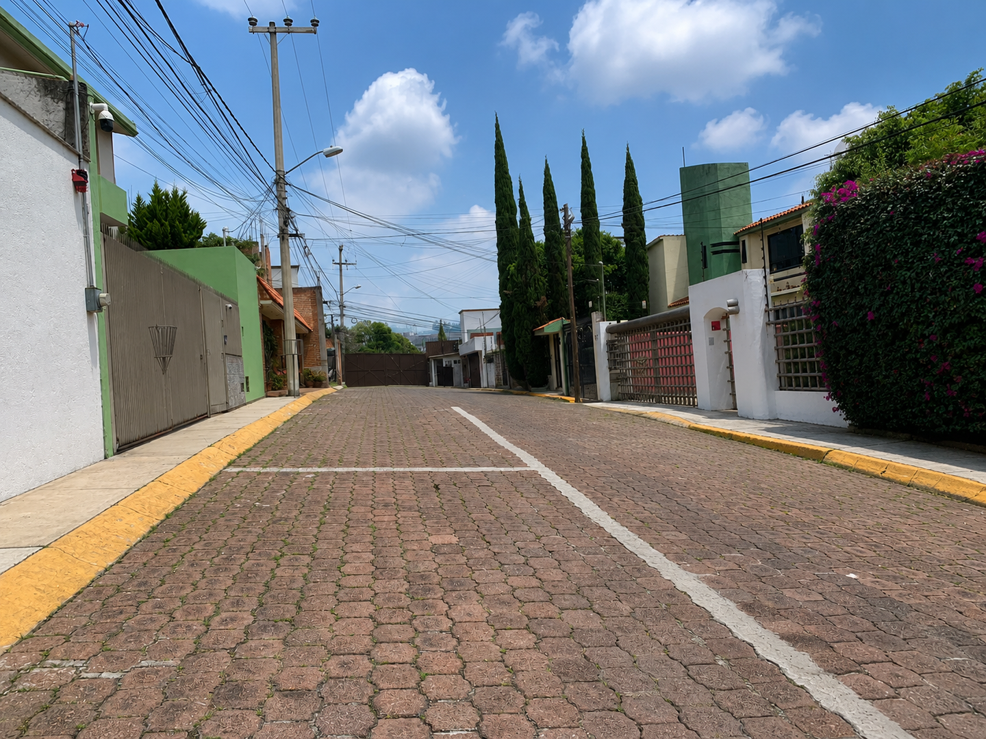 IMG_2713.png