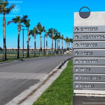 Lote Central en venta de 1000mts en Puerto Nizuc - Posesión Inmediata -  Guillermo Hudson