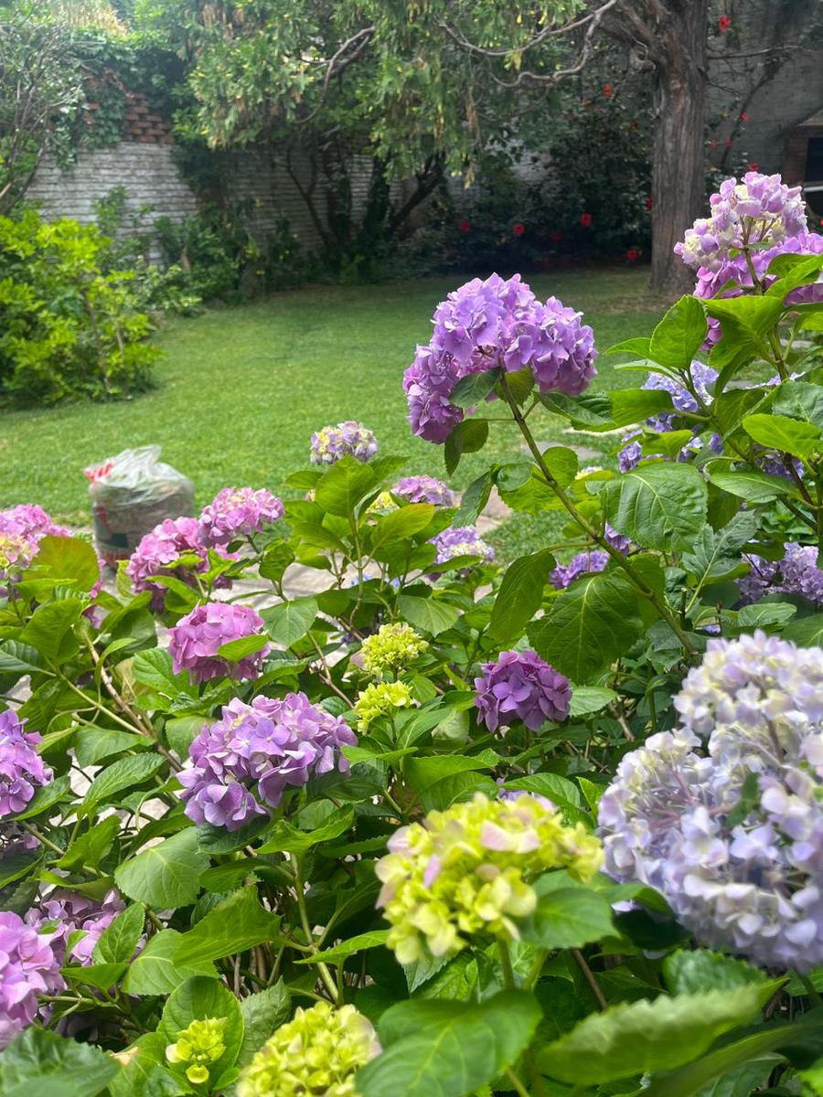 image 50