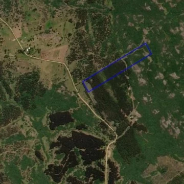 Campo en  Cerro de la Mina-Pueblo Edén