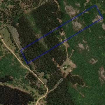 Cerro de la Mina-MALDONADO 9 HÁS