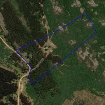 Cerro de la Mina-MALDONADO 18.50 HÁS