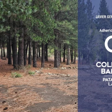 Terreno en VENTA barrio La Jauria 1800 m2, San Martín de los Andes.