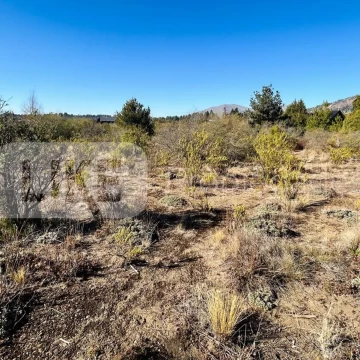 Terreno Venta en De los Cerastios 200