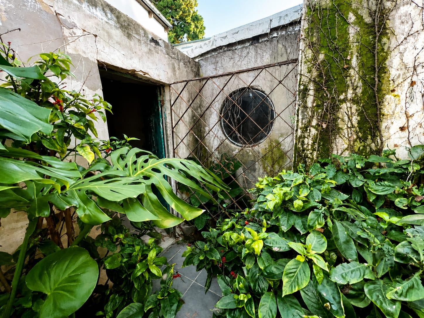 image 22